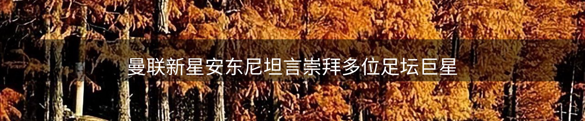 综合资讯